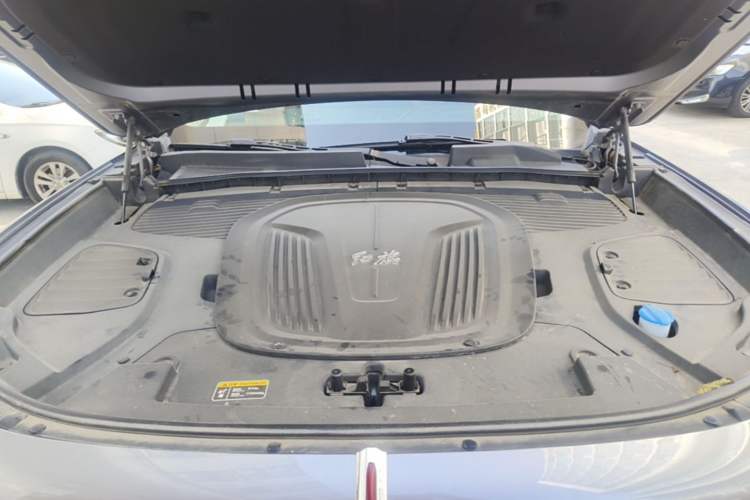 Used Hongqi E-HS9 2021 510 km Range Flagway Edition Six Seats Engine Bay