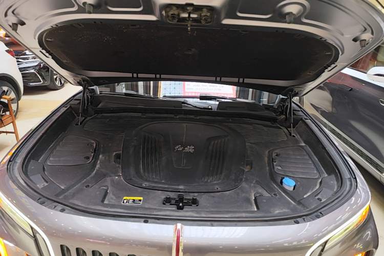 Used Hongqi E-HS9 2021 510 km Range Flagway Edition Six Seats Engine Bay