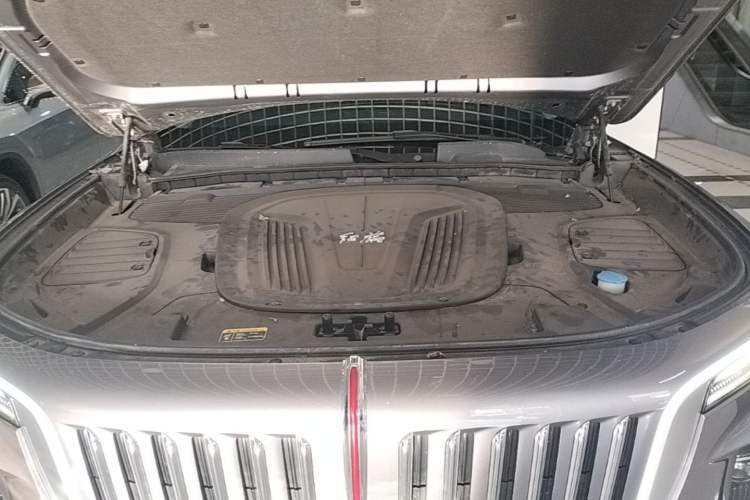 Used Hongqi E-HS9 2021 510 km Range Flagway Edition Six Seats Engine Bay