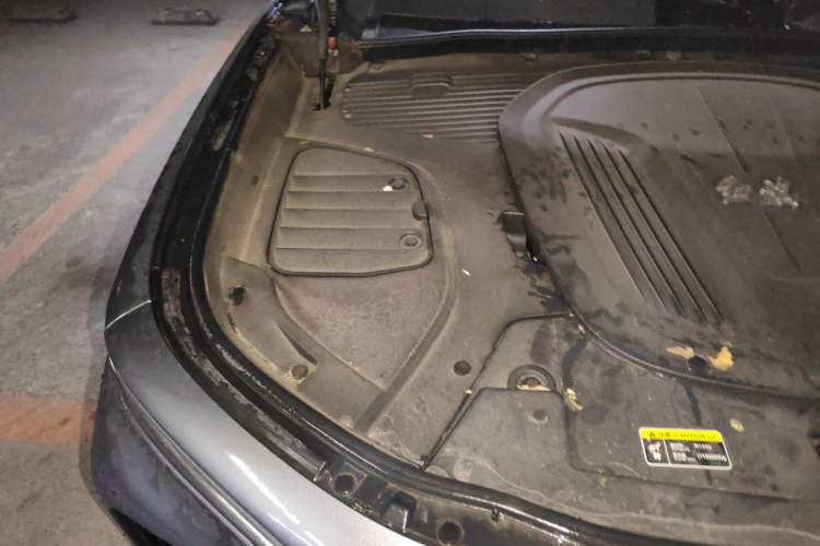 Used Hongqi E-HS9 2021 510 km Range Flagway Edition Six Seats Engine Bay Right
