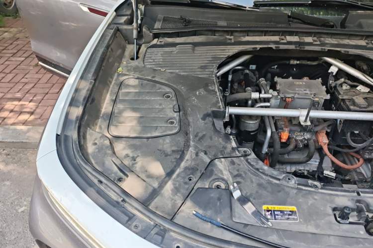 Used Hongqi E-HS9 2021 510 km Flagship Edition Four Seats Engine Bay Right