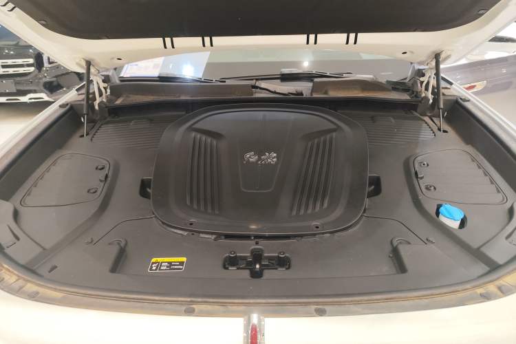 Used Hongqi E-HS9 2021 510 km Flagship Edition Four Seats Engine Bay