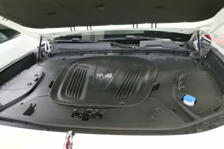 Used Hongqi E-HS9 2021 510 km Flagship Edition Four Seats Engine Bay