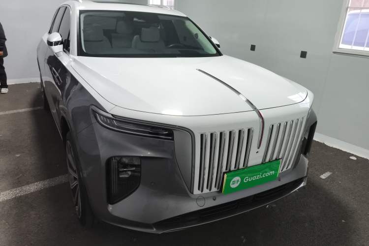 Used Hongqi E-HS9 2021 510 km Flagship Edition Four Seats Exterior 1