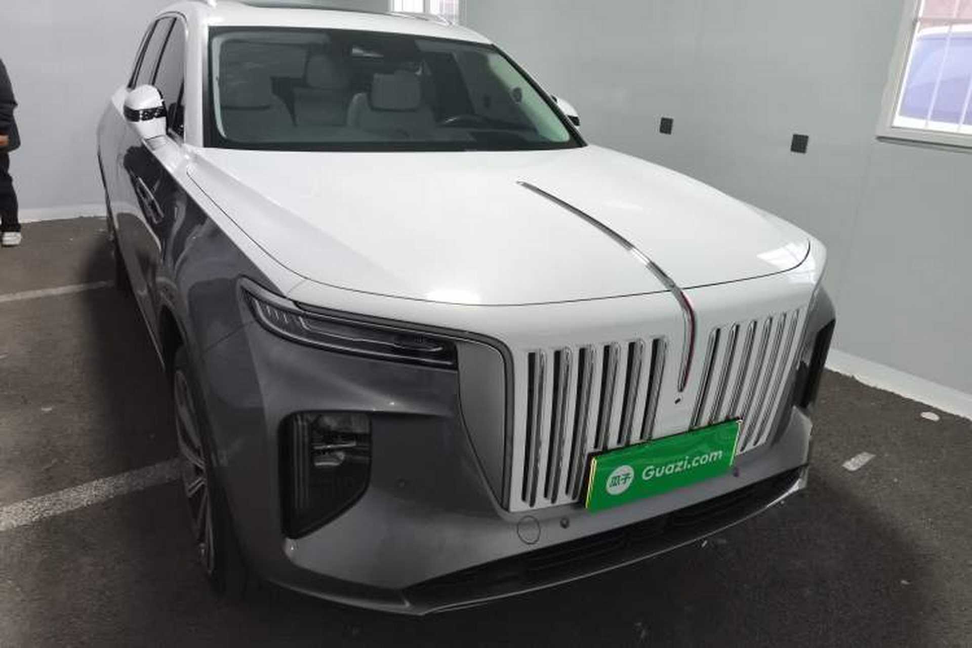 Used Hongqi E-HS9 2021 510 km Flagship Edition Four Seats Exterior 1
