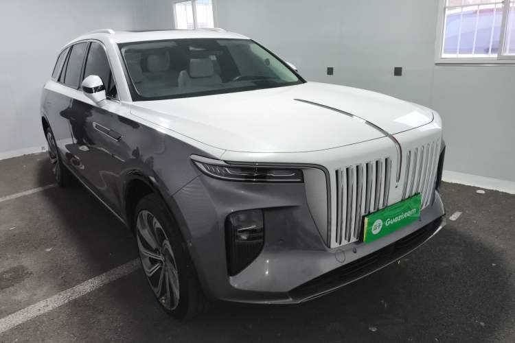 Used Hongqi E-HS9 2021 510 km Flagship Edition Four Seats Exterior 2