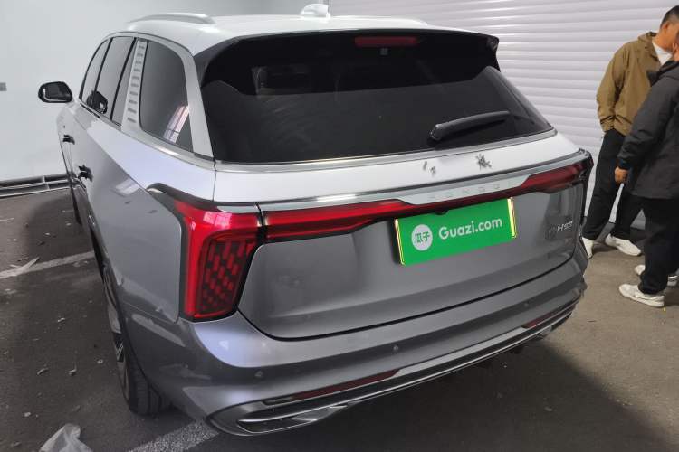 Used Hongqi E-HS9 2021 510 km Flagship Edition Four Seats Exterior 4