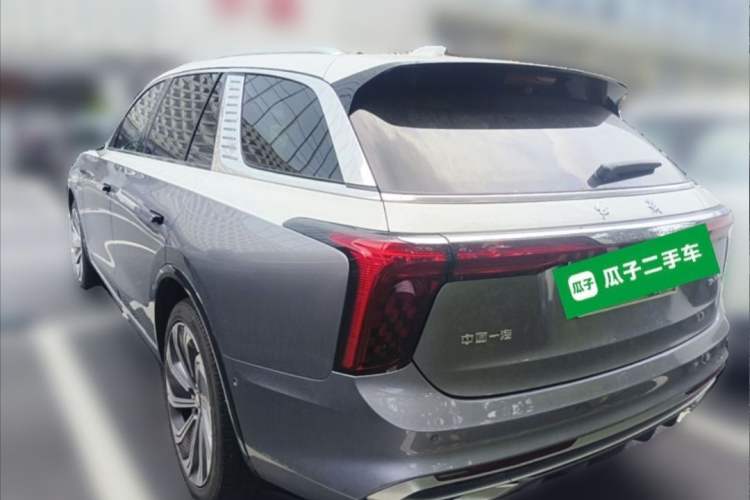 Used Hongqi E-HS9 2021 510 km Flagship Edition Four Seats Exterior 5