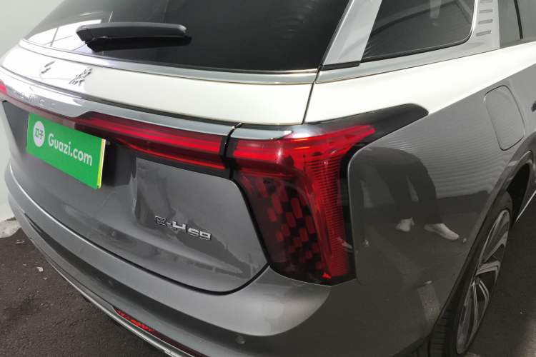 Used Hongqi E-HS9 2021 510 km Flagship Edition Four Seats Exterior 6