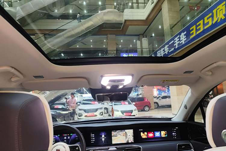 Used Hongqi E-HS9 2021 510 km Range Flagway Edition Six Seats Headliner