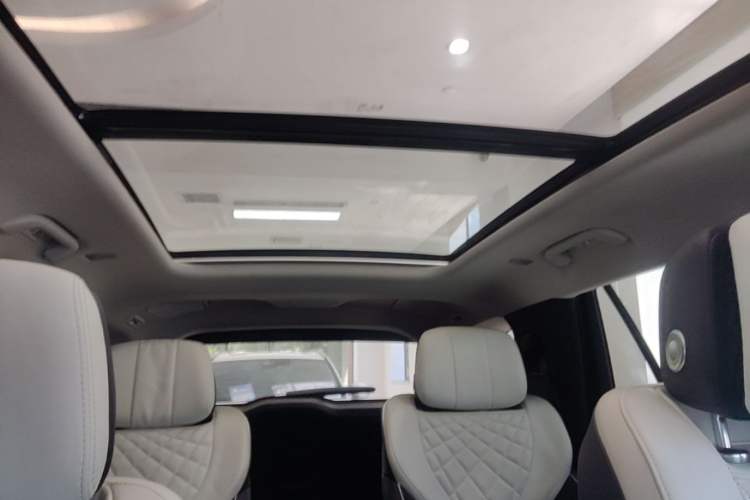 Used Hongqi E-HS9 2021 460 km Range Flagship Edition Six-Seater Headliner