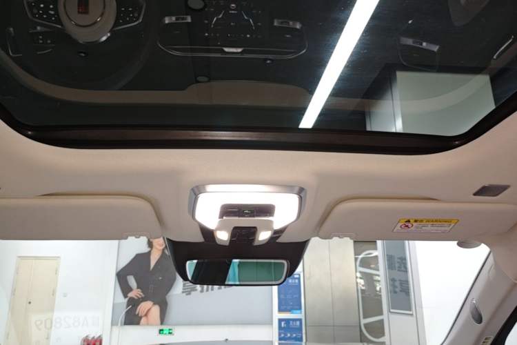 Used Hongqi E-HS9 2021 460 km Range Flagship Edition Six-Seater Headliner