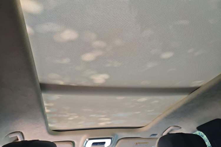 Used Hongqi E-HS9 2021 510 km Flagship Edition Four Seats Headliner