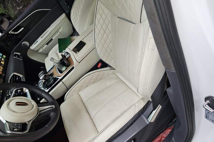 Used Hongqi E-HS9 2021 510 km Flagship Edition Four Seats Left Front Seat