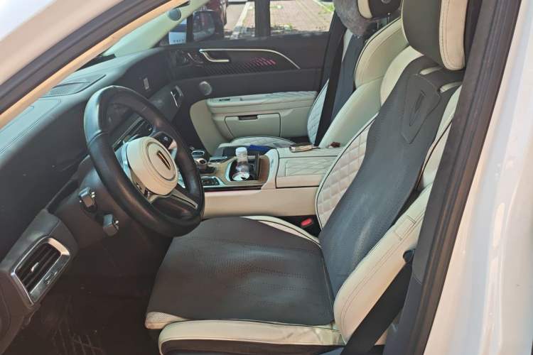 Used Hongqi E-HS9 2021 510 km Flagship Edition Four Seats Left Front Seat
