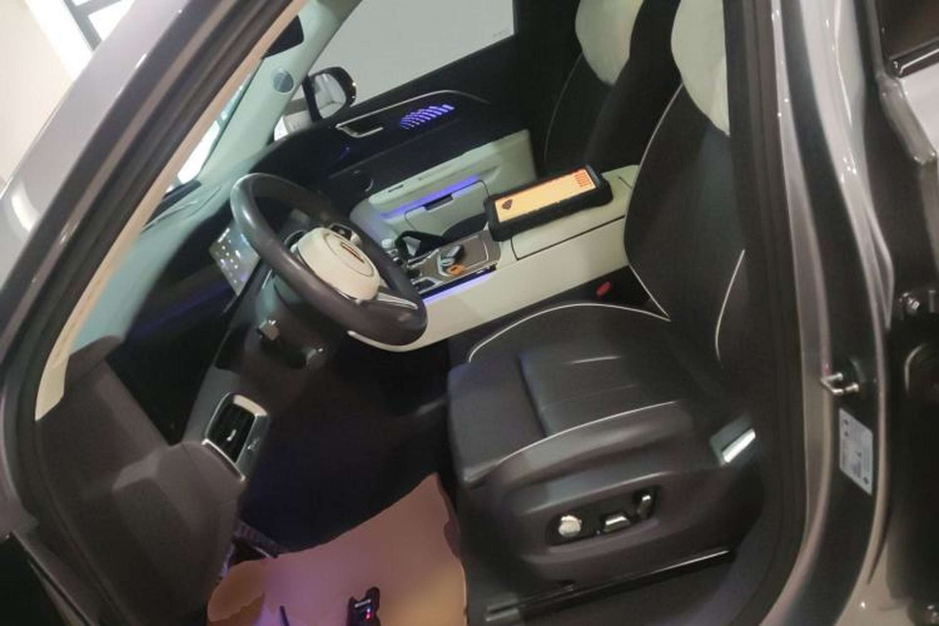 Used Hongqi E-HS9 2021 460 km Range Flagship Edition Six-Seater Left Front Seat