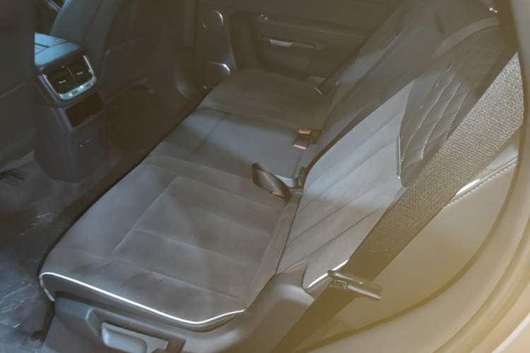 Used Hongqi E-HS9 2021 460 km Range Flagship Edition 7-Seater Left Rear Seat
