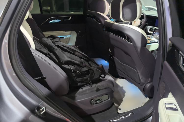 Used Hongqi E-HS9 2021 460 km Range Flagship Edition Six-Seater Left Rear Seat