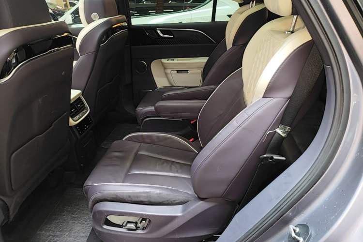 Used Hongqi E-HS9 2021 510 km Range Flagway Edition Six Seats Left Rear Seat