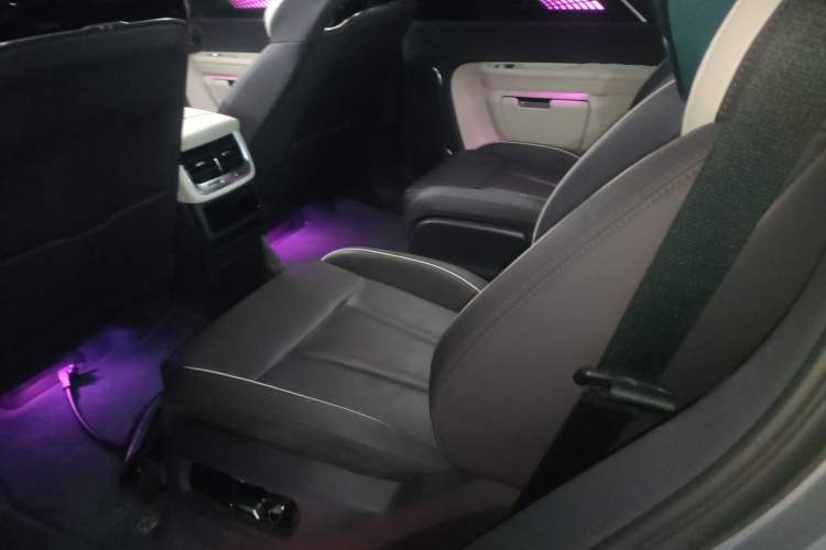 Used Hongqi E-HS9 2021 510 km Range Flagway Edition Six Seats Left Rear Seat