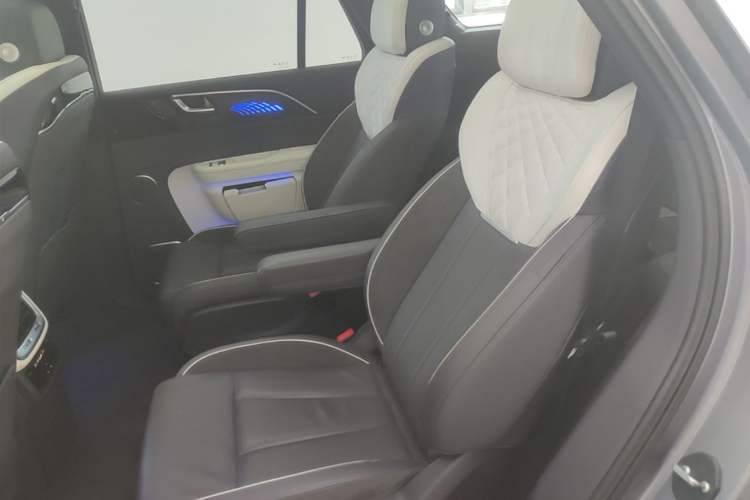 Used Hongqi E-HS9 2021 460 km Range Flagship Edition Six-Seater Left Rear Seat