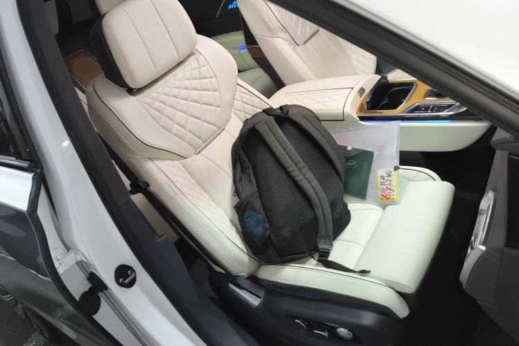Used Hongqi E-HS9 2021 510 km Flagship Edition Four Seats Right Front Seat