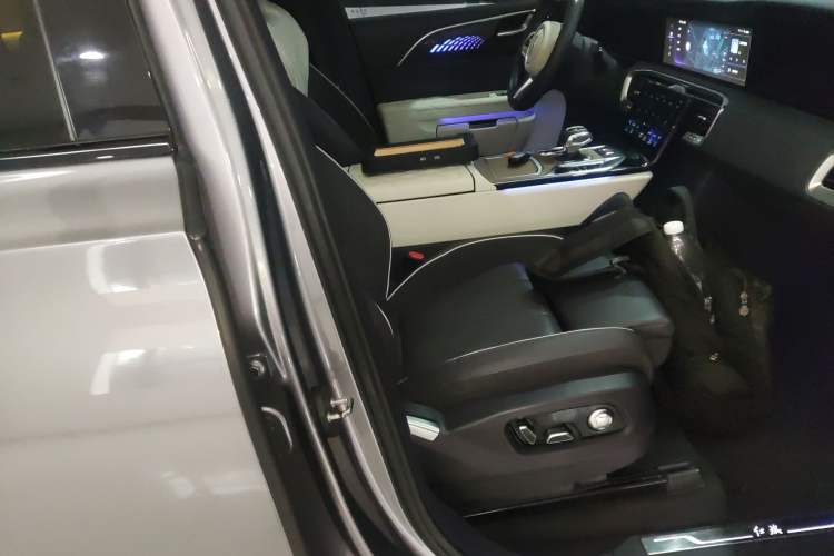Used Hongqi E-HS9 2021 460 km Range Flagship Edition Six-Seater Right Front Seat