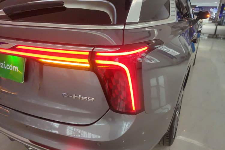 Used Hongqi E-HS9 2021 460 km Range Flagship Edition Six-Seater Right Rear Taillight