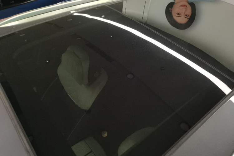 Used Hongqi E-HS9 2021 460 km Range Flagship Edition Six-Seater Roof