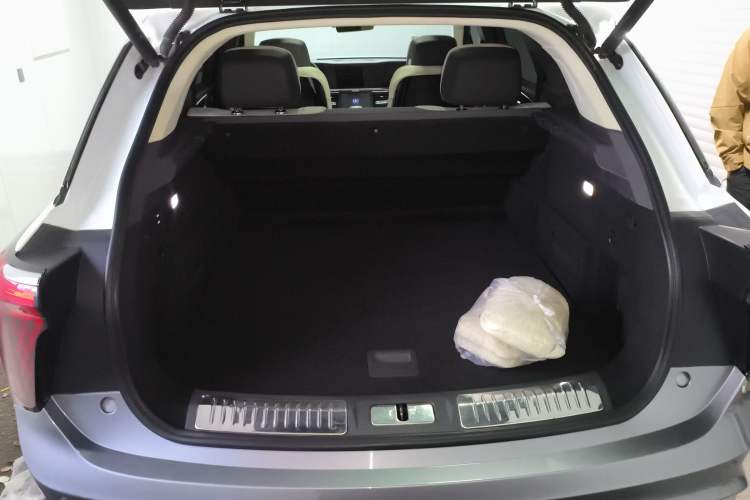 Used Hongqi E-HS9 2021 510 km Flagship Edition Four Seats Trunk