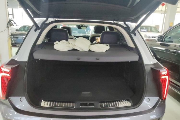 Used Hongqi E-HS9 2021 510 km Flagship Edition Four Seats Trunk