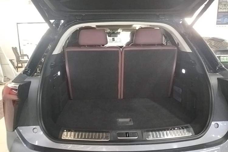 Used Hongqi E-HS9 2021 510 km Range Flagway Edition Six Seats Trunk