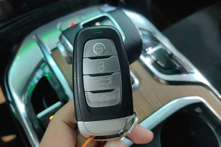 Used Hongqi E-HS9 2021 460 km Range Flagship Edition 7-Seater Vehicle Key