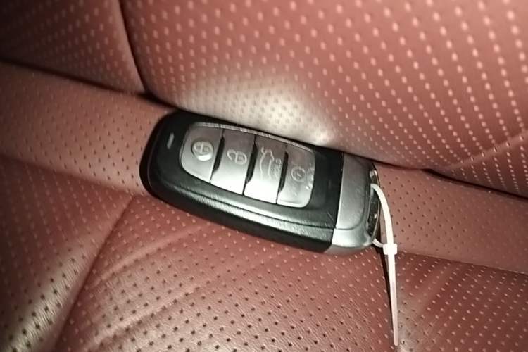 Used Hongqi E-HS9 2021 510 km Range Flagway Edition Six Seats Vehicle Key