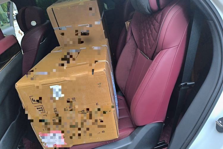 Used Hongqi E-HS9 2021 460 km Range Flagship Edition Six-Seater Left Rear Seat