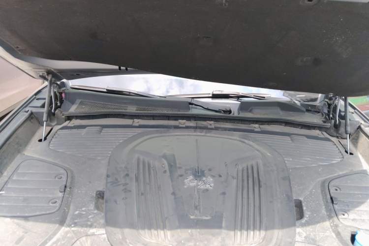 Used Hongqi E-HS9 2021 460 km Range Flagship Edition Six-Seater Engine Bay