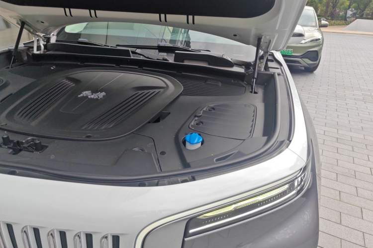 Used Hongqi E-HS9 2021 460 km Range Flagship Edition Six-Seater Engine Bay Left
