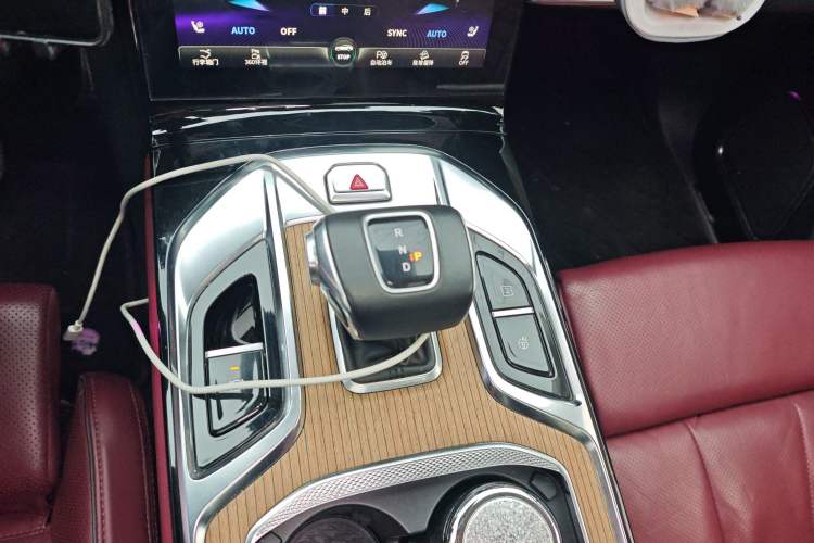 Used Hongqi E-HS9 2021 510 km Range Flagway Edition Six Seats Gear Lever