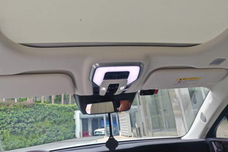 Used Hongqi E-HS9 2021 460 km Range Flagship Edition Six-Seater Headliner
