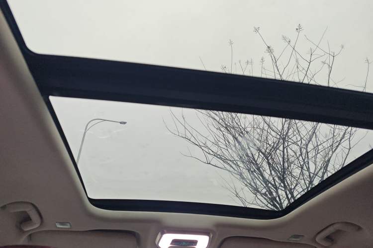 Used Hongqi E-HS9 2021 510 km Range Flagway Edition Six Seats Headliner