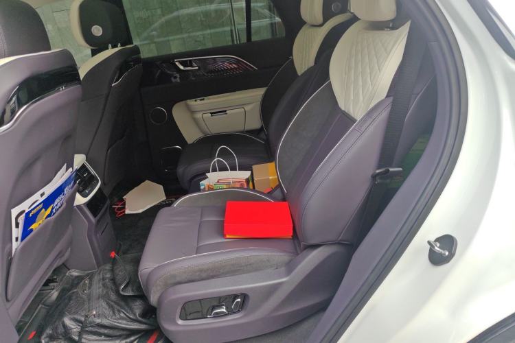 Used Hongqi E-HS9 2021 460 km Range Flagship Edition Six-Seater Left Rear Seat