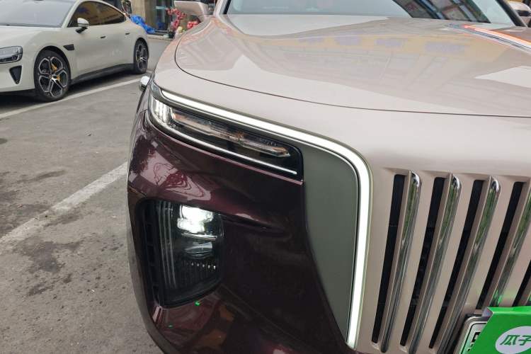 Used Hongqi E-HS9 2021 510 km Range Flagway Edition Six Seats Right Front Headlight