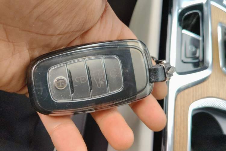 Used Hongqi E-HS9 2021 460 km Range Flagship Edition Six-Seater Vehicle Key