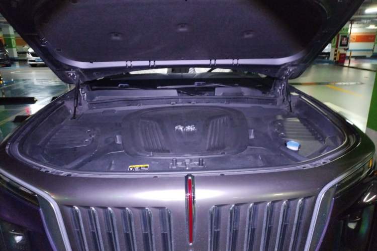 Used Hongqi E-HS9 2021 510 km Range Flagway Edition Six Seats Engine Bay