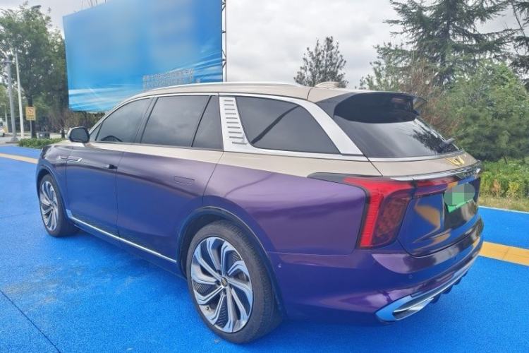 Used Hongqi E-HS9 2021 510 km Flagship Edition Four Seats Exterior 4