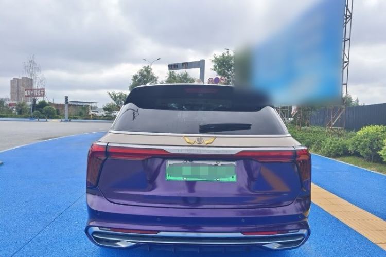 Used Hongqi E-HS9 2021 510 km Flagship Edition Four Seats Exterior 5