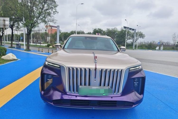 Used Hongqi E-HS9 2021 510 km Flagship Edition Four Seats Exterior 7