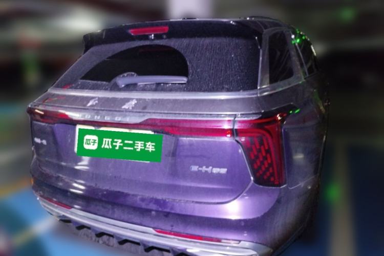 Used Hongqi E-HS9 2021 510 km Range Flagway Edition Six Seats Rear