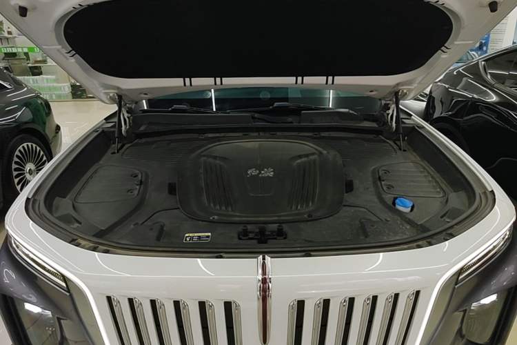 Used Hongqi E-HS9 2021 510 km Flagship Edition Four Seats Engine Bay