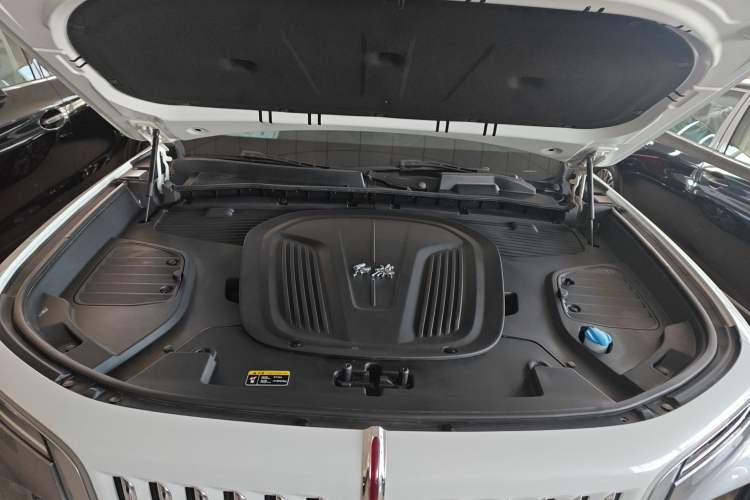 Used Hongqi E-HS9 2021 460 km Range Flagship Edition Six-Seater Engine Bay